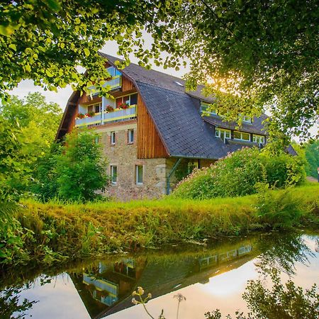 Hotel Frankenschleif Waldmünchen Zewnętrze zdjęcie